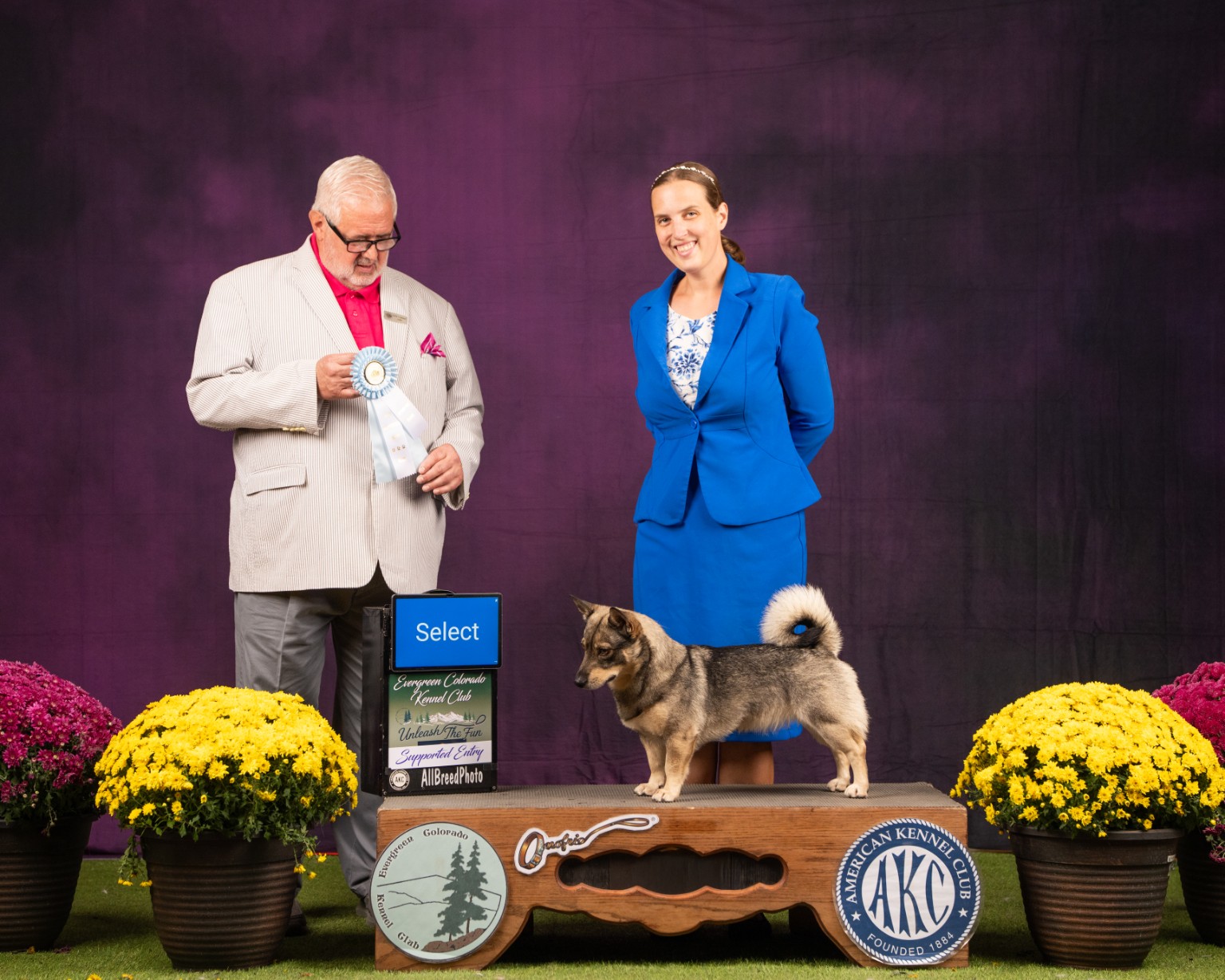 Tala stacked on a show podium with Kristin and the judge